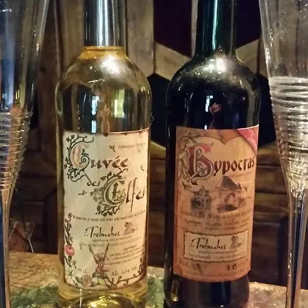 Medievale 40m2 D' Du Mas Fabregue Servas (Gard)