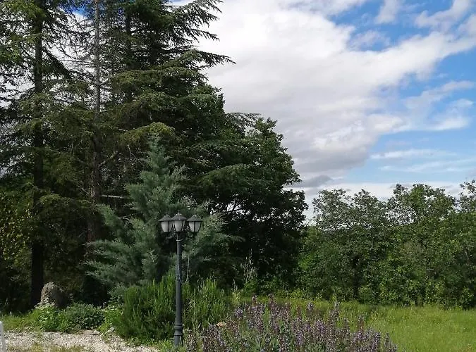 Medievale 40m2 D' Du Mas Fabregue Bed & Breakfast 4*