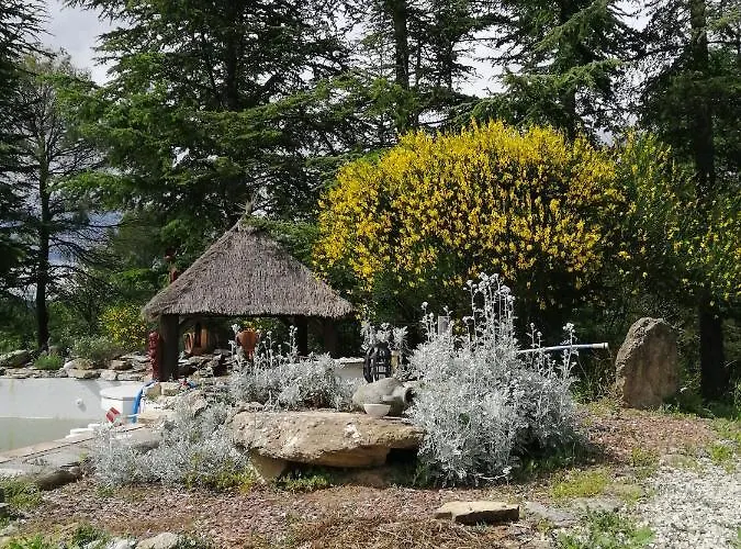 Medievale 40m2 D' Du Mas Fabregue Servas (Gard)