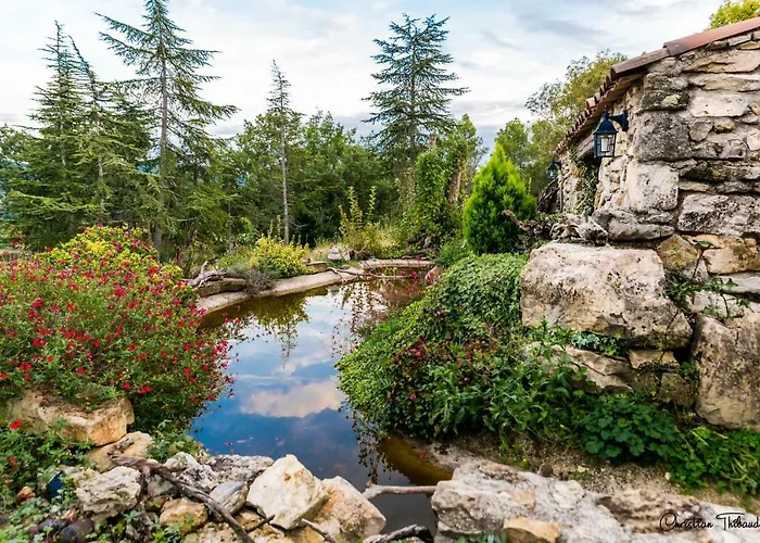 Medievale 40m2 D' Du Mas Fabregue 4*